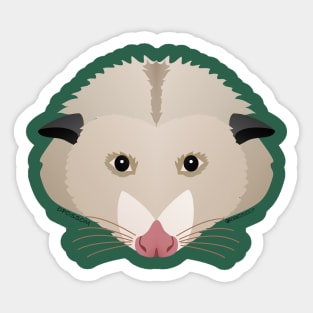 Baby Possum Face Sticker